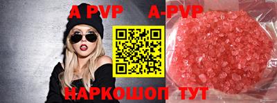 стафф Будённовск